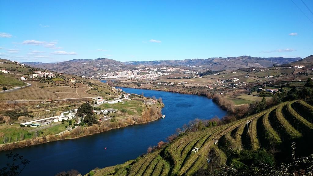 Casa Quinta Da Adega Do Chao - Vale Do Douro Villa Lamego Room photo