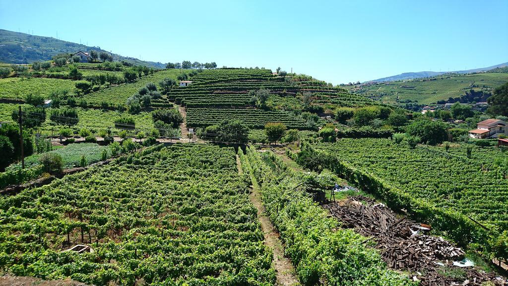 Casa Quinta Da Adega Do Chao - Vale Do Douro Villa Lamego Exterior photo